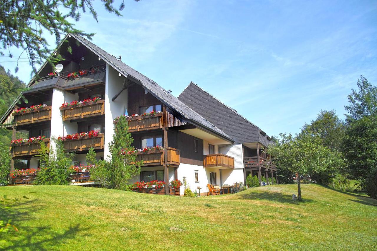 C3 Albmatte-Fewo Sauna, Hallenbad Aussenbecken Massagen Nebenan St. Blasien Ngoại thất bức ảnh