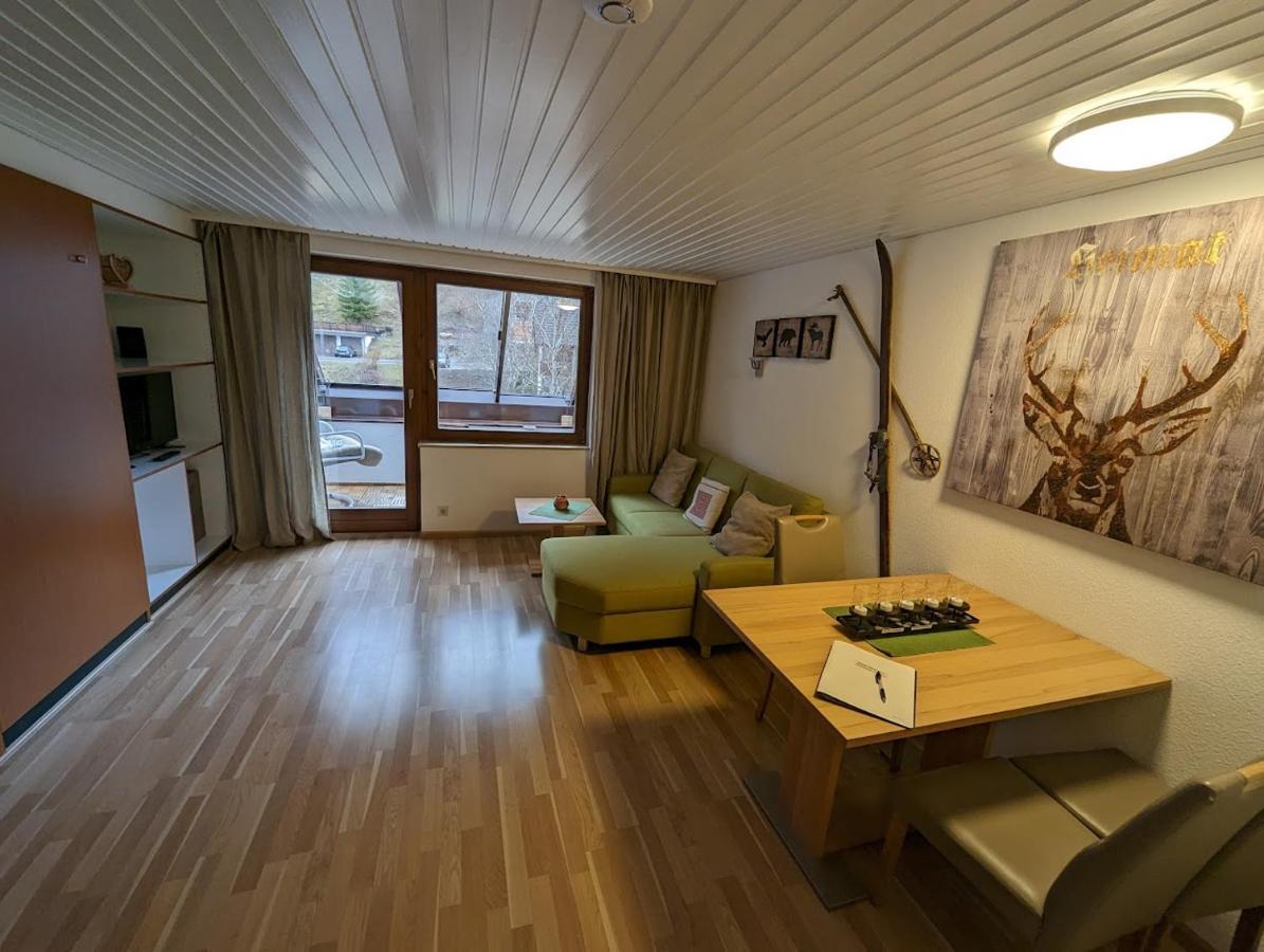 C3 Albmatte-Fewo Sauna, Hallenbad Aussenbecken Massagen Nebenan St. Blasien Ngoại thất bức ảnh