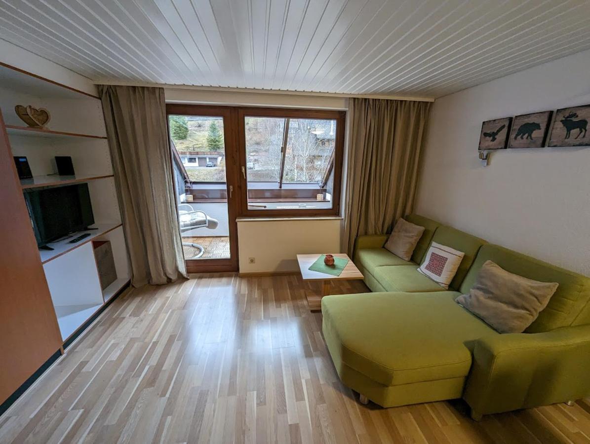 C3 Albmatte-Fewo Sauna, Hallenbad Aussenbecken Massagen Nebenan St. Blasien Ngoại thất bức ảnh