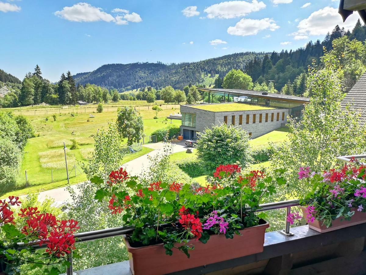 C3 Albmatte-Fewo Sauna, Hallenbad Aussenbecken Massagen Nebenan St. Blasien Ngoại thất bức ảnh